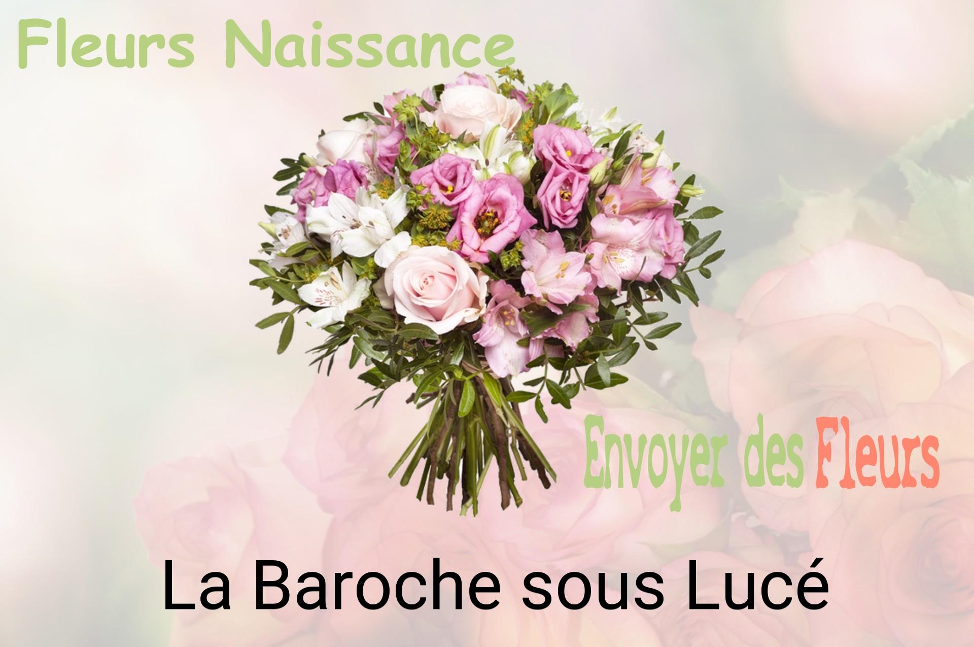 Bouquet de fleurs de naissance livré à La Baroche-sous-Lucé